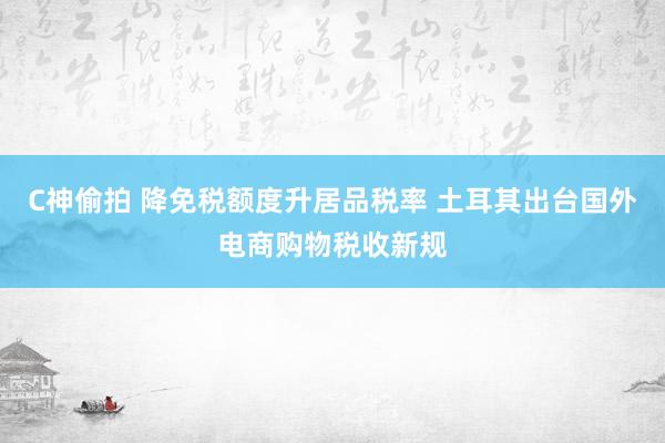 C神偷拍 降免税额度升居品税率 土耳其出台国外电商购物税收新规