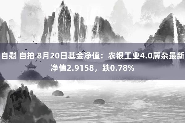 自慰 自拍 8月20日基金净值：农银工业4.0羼杂最新净值2.9158，跌0.78%