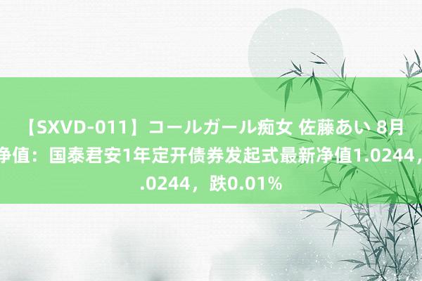 【SXVD-011】コールガール痴女 佐藤あい 8月20日基金净值：国泰君安1年定开债券发起式最新净值1.0244，跌0.01%