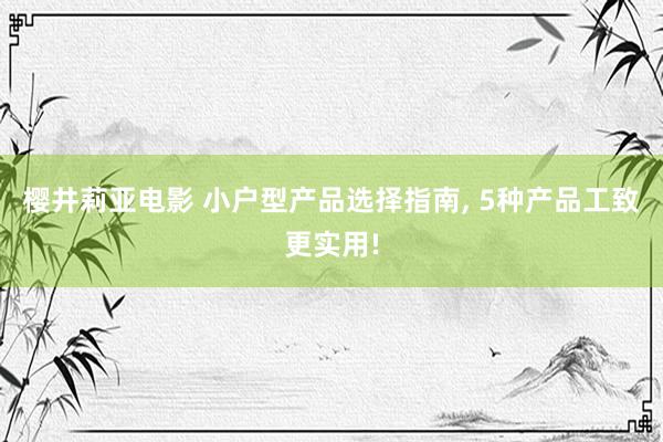 樱井莉亚电影 小户型产品选择指南， 5种产品工致更实用!