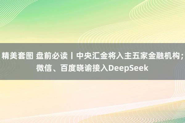 精美套图 盘前必读丨中央汇金将入主五家金融机构；微信、百度晓谕接入DeepSeek