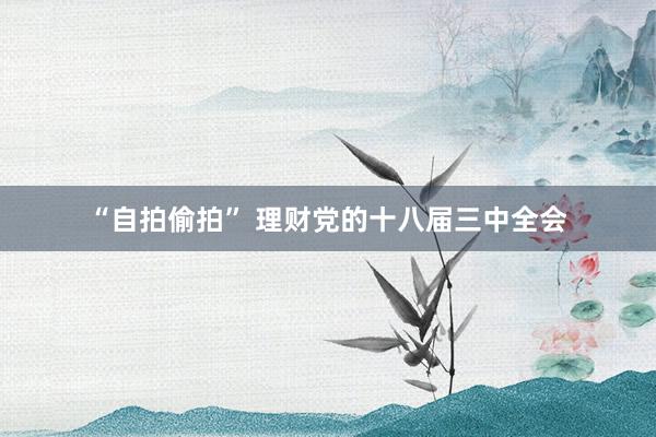 “自拍偷拍” 理财党的十八届三中全会