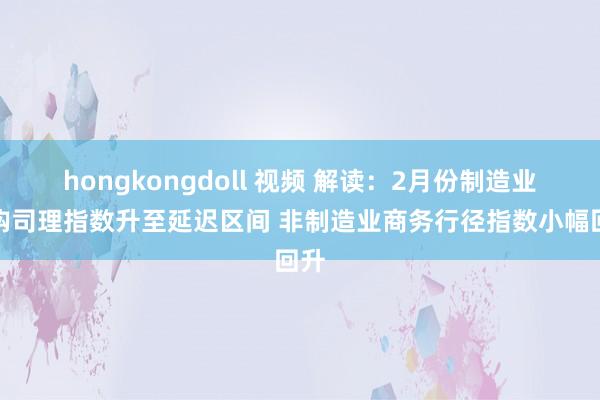 hongkongdoll 视频 解读：2月份制造业采购司理指数升至延迟区间 非制造业商务行径指数小幅回升