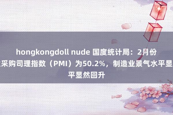 hongkongdoll nude 国度统计局：2月份制造业采购司理指数（PMI）为50.2%，制造业景气水平显然回升