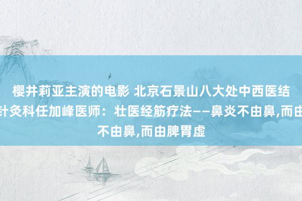 樱井莉亚主演的电影 北京石景山八大处中西医结合病院针灸科任加峰医师：壮医经筋疗法——鼻炎不由鼻，而由脾胃虚