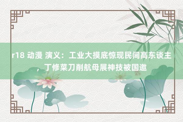 r18 动漫 演义：工业大摸底惊现民间高东谈主，丁修菜刀削航母展神技被国邀