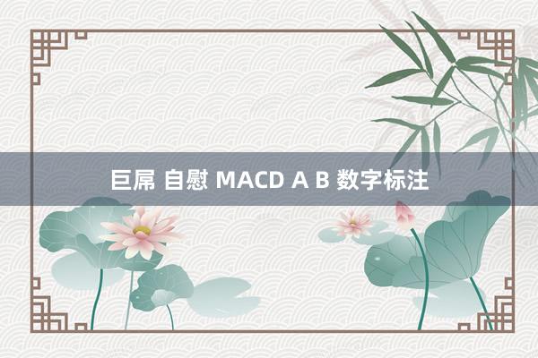 巨屌 自慰 MACD A B 数字标注