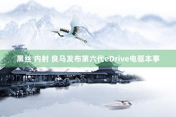 黑丝 内射 良马发布第六代eDrive电驱本事