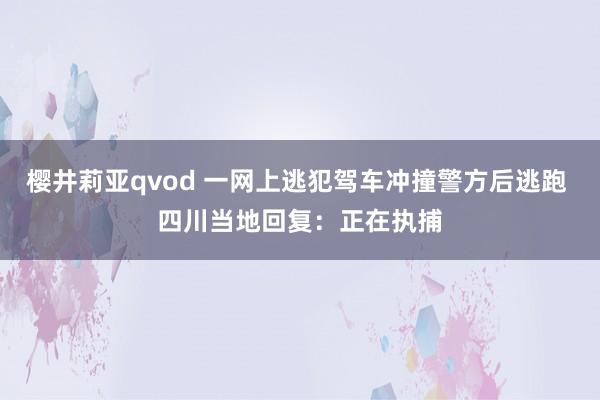樱井莉亚qvod 一网上逃犯驾车冲撞警方后逃跑 四川当地回复：正在执捕